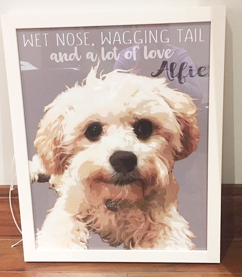 Pop art of cute white dog in a white frame