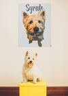 Cute Westie in front of his custom pop art