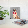 Custom Dog art of Pug  printed on poster